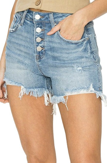 ALL SUMMER LONG SHORTS